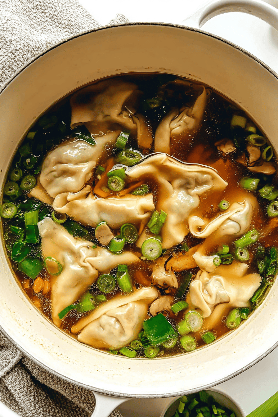 Potsticker Soup Recipe