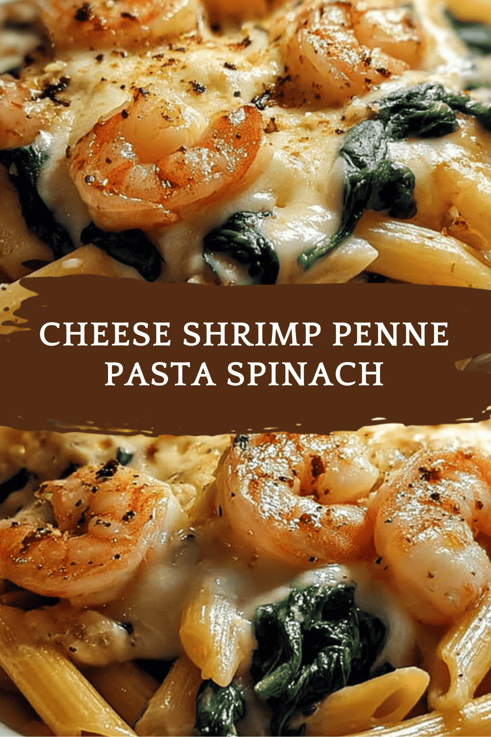 Cheese Shrimp Penne Pasta Spinach