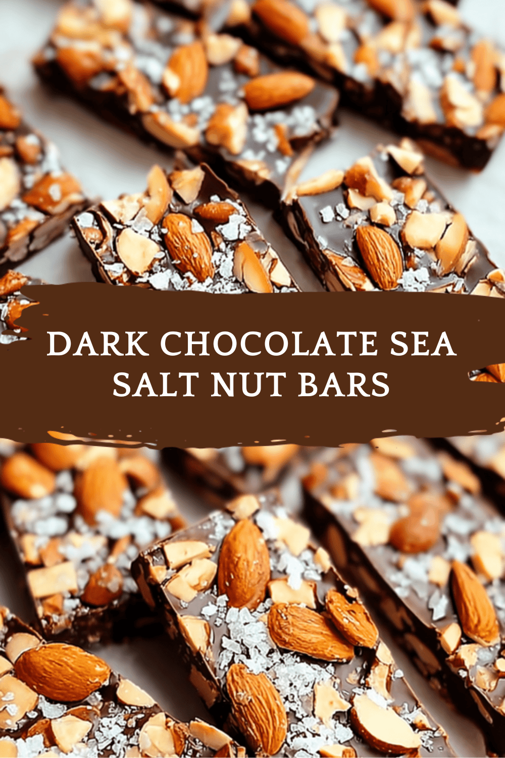 Dark Chocolate Sea Salt Nut Bars