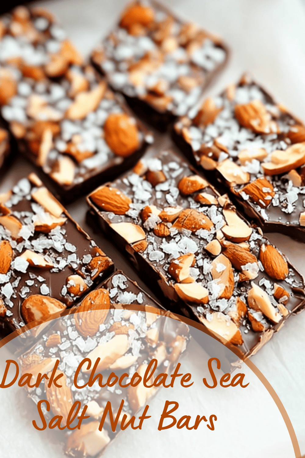 Dark Chocolate Sea Salt Nut Bars
