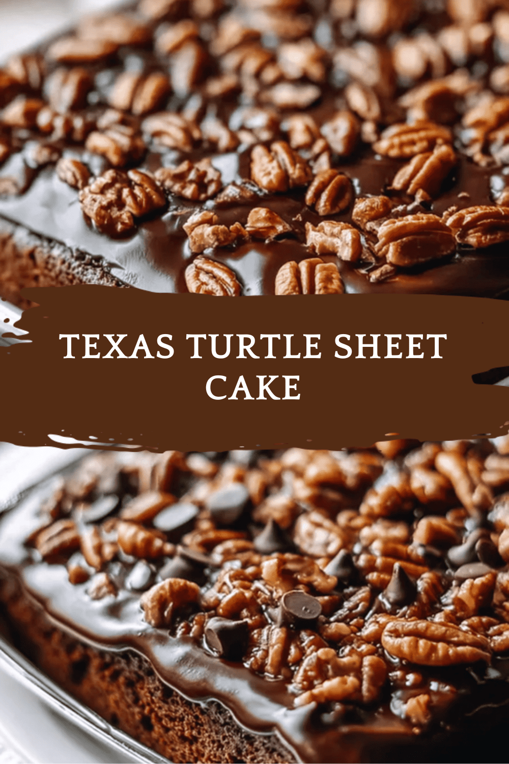 Texas Turtle Sheet Cake