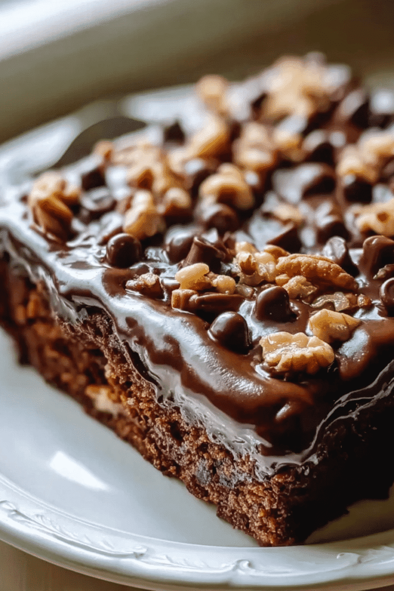 Texas Turtle Sheet Cake 25.Png