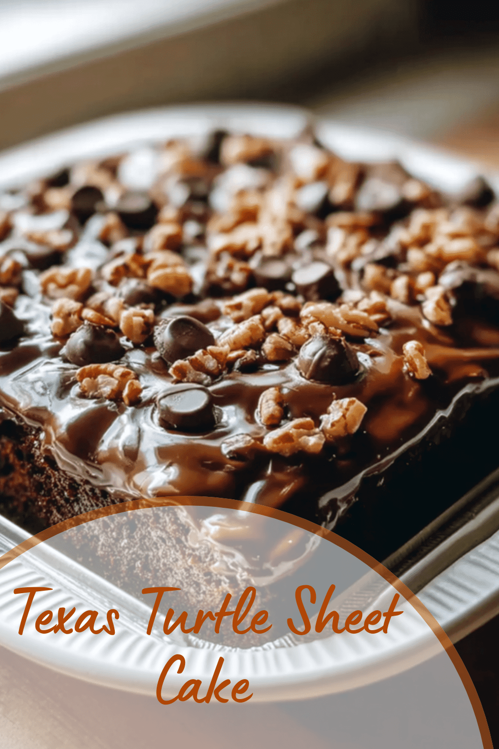 Texas Turtle Sheet Cake