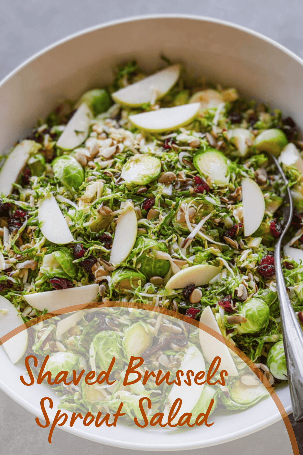Shaved Brussels Sprout Salad With Fresh Ingredients And Simple Dressing 7 Shaved Brussels Sprout Salad