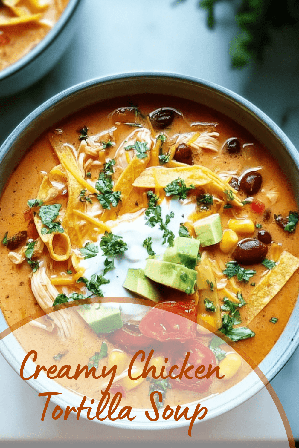 Creamy Chicken Tortilla Soup With Rich Spices And Fresh Ingredients 7 Creamy Chicken Tortilla Soup