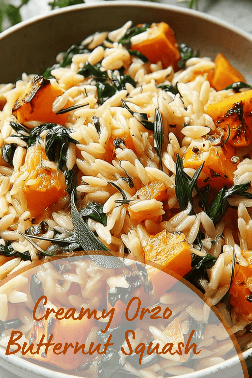 Butternut Squash Orzo With Creamy Roasted Flavors 7 Creamy Orzo Butternut Squash