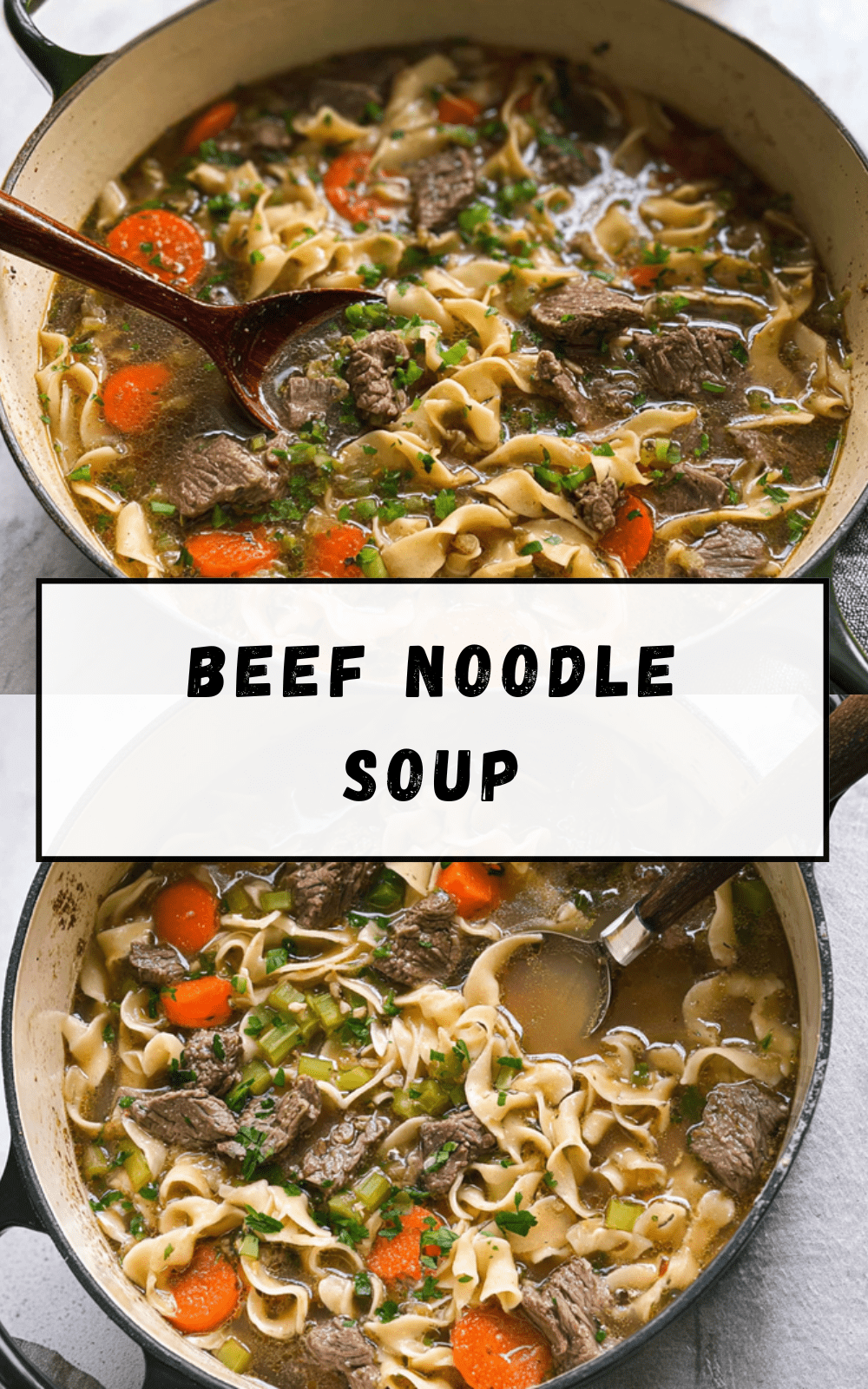 Beef Noodle Soup