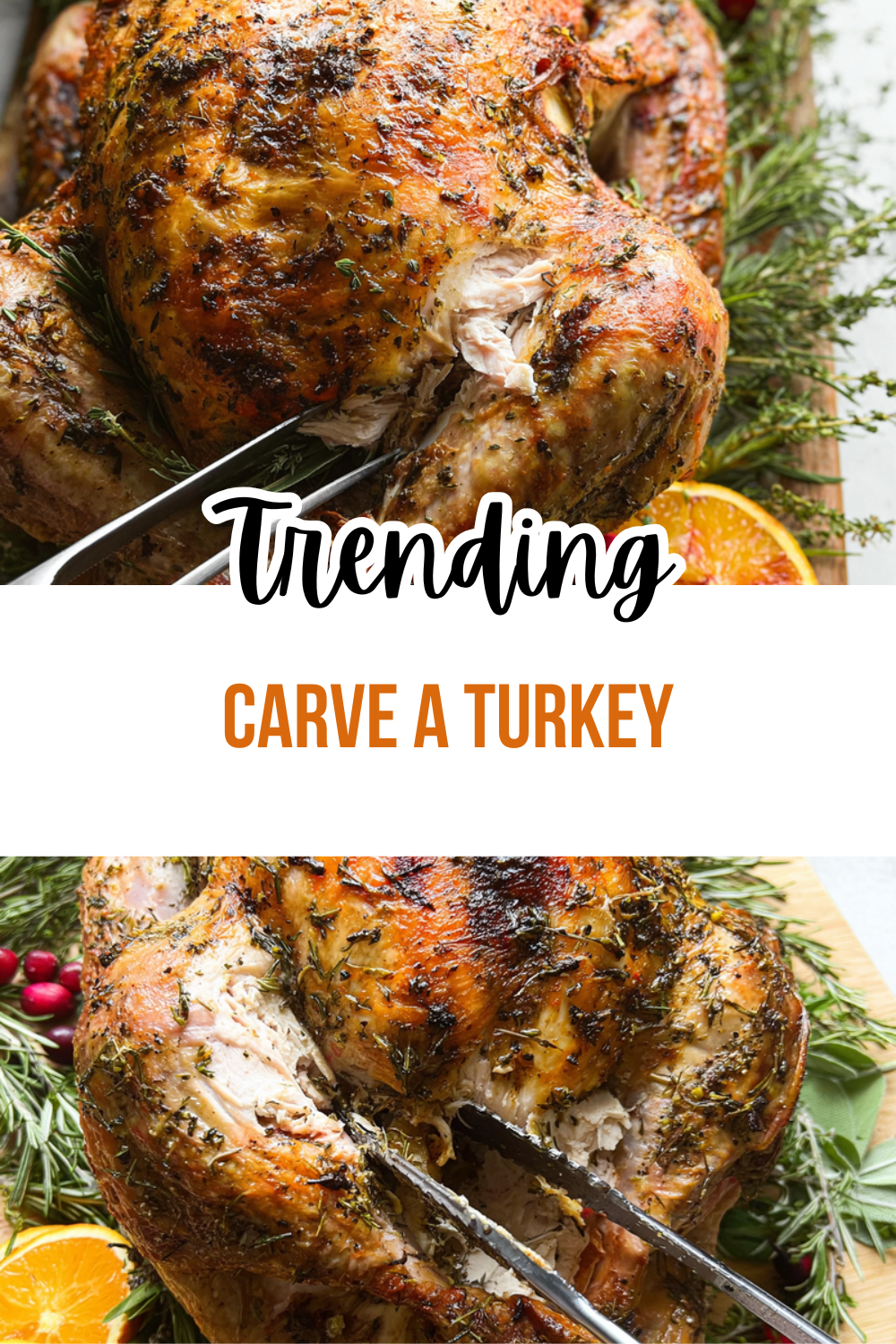 Carve A Turkey
