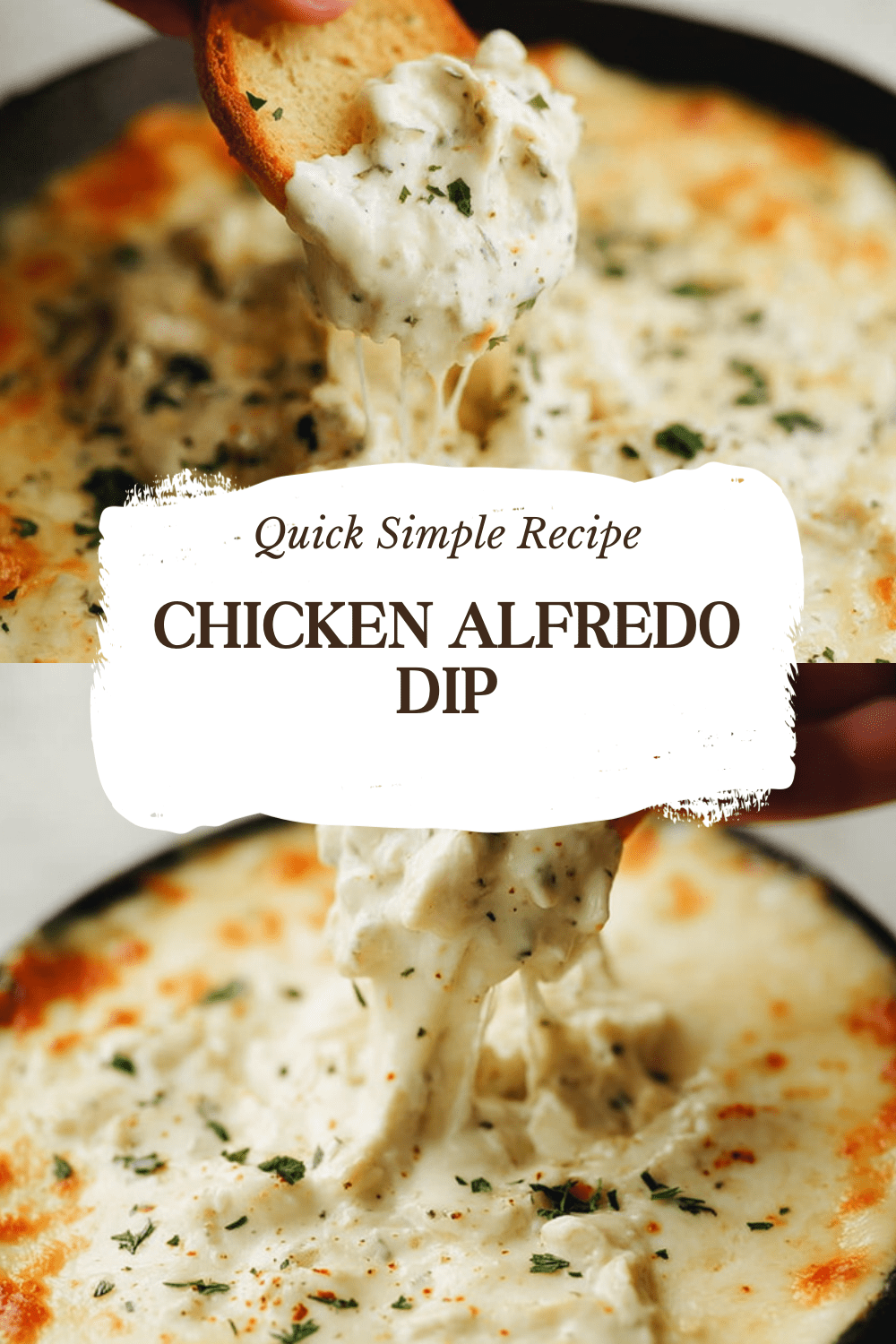 Chicken Alfredo Dip