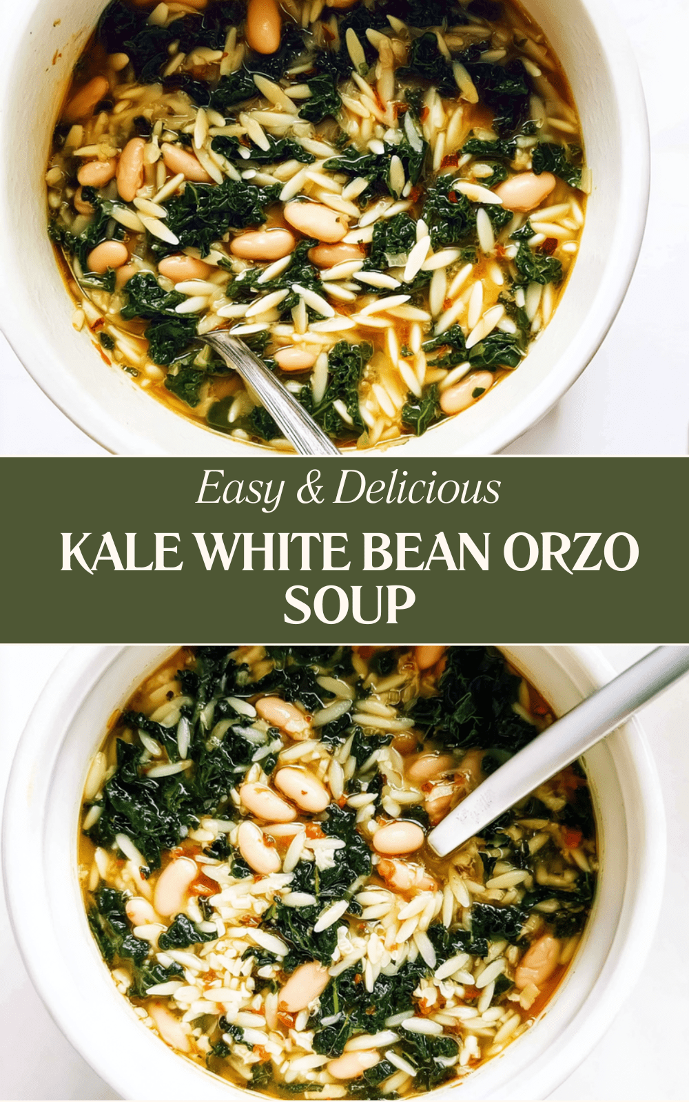 Kale White Bean Orzo Soup