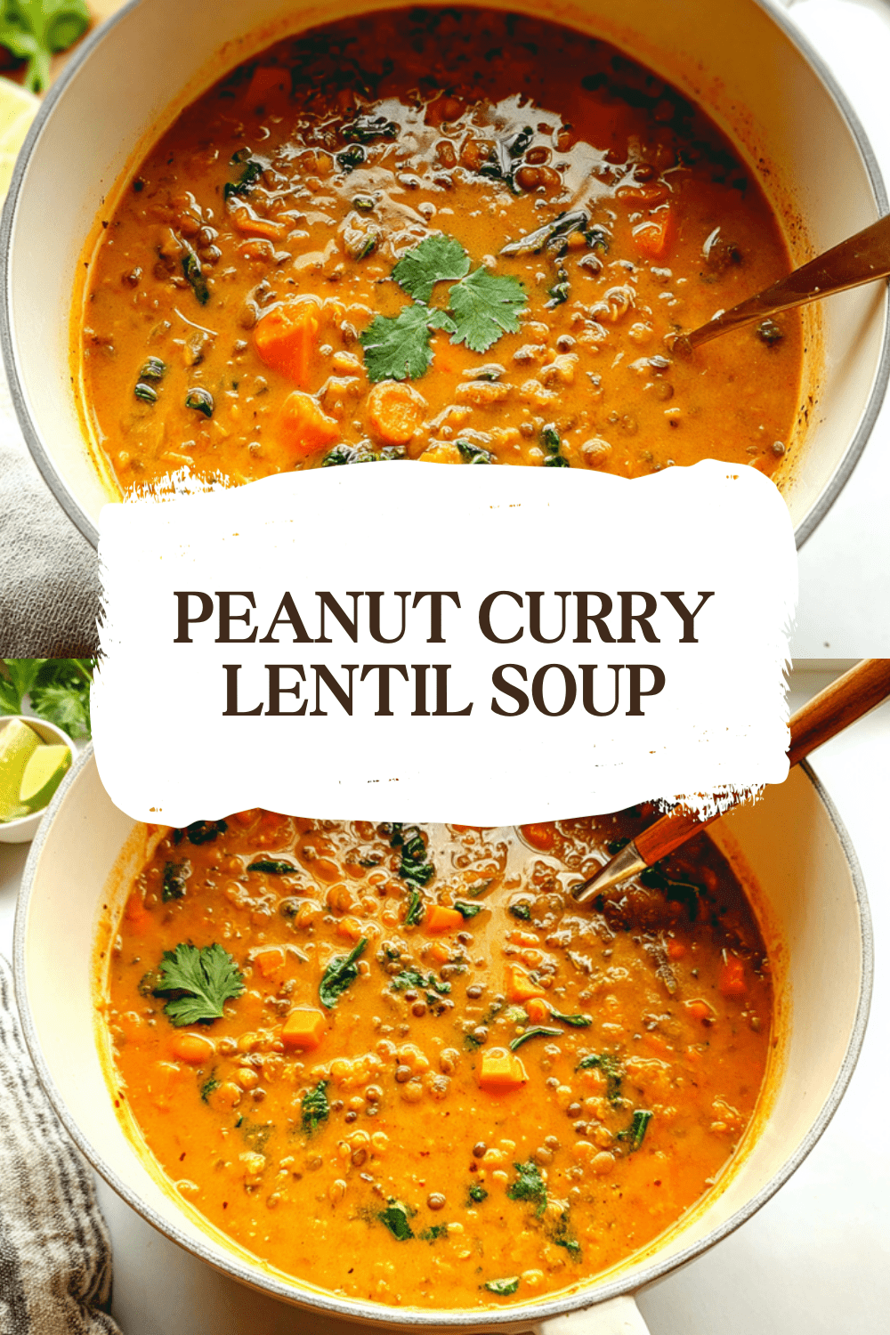 Peanut Curry Lentil Soup