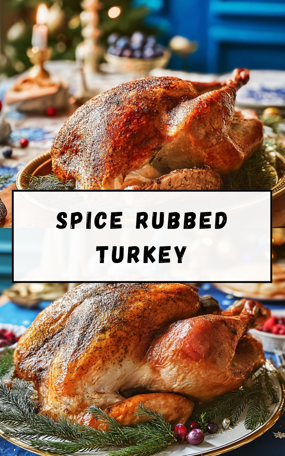 Spice Rubbed Turkey