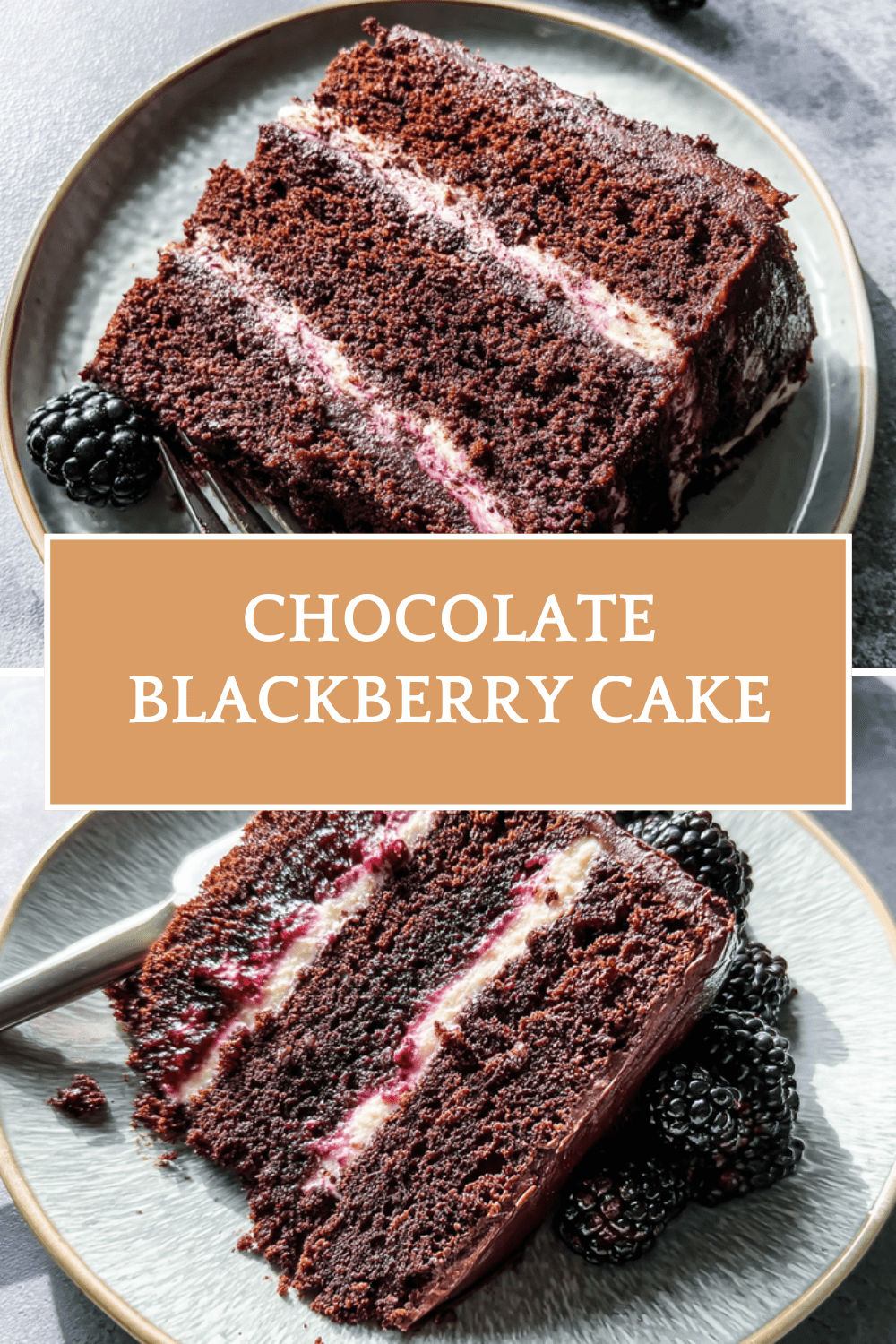 Chocolate Blackberry Cake