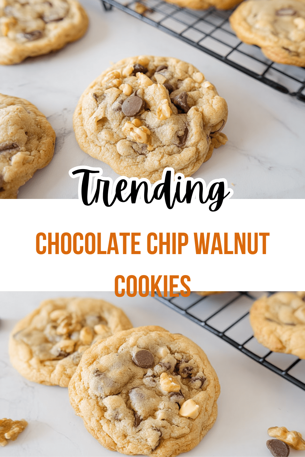 Chocolate Chip Walnut Cookies