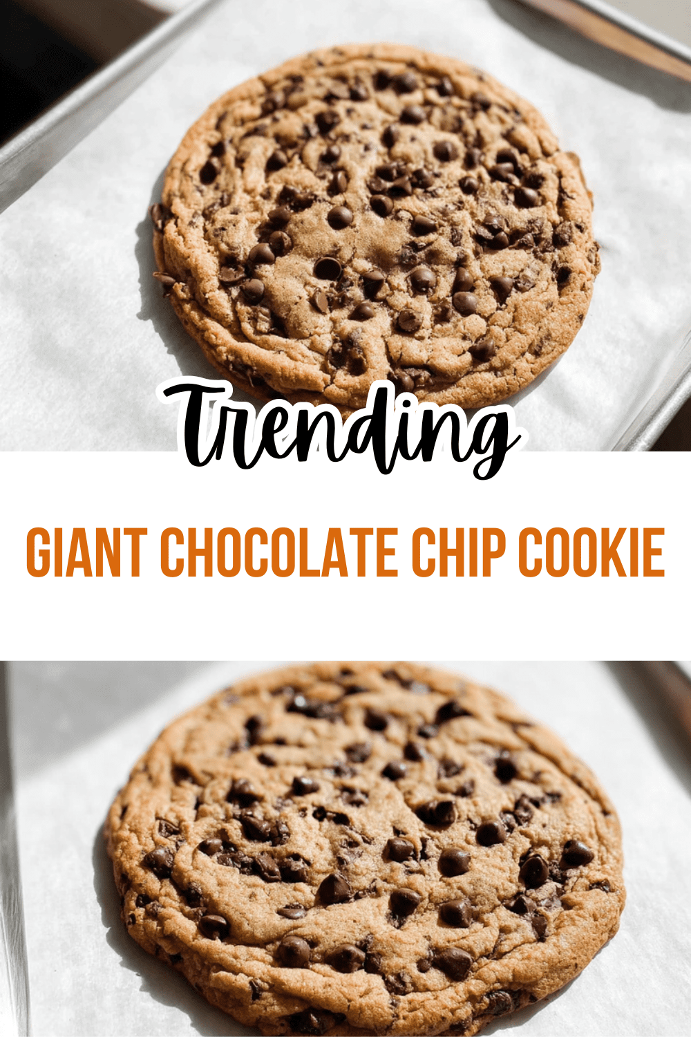 Giant Chocolate Chip Cookie