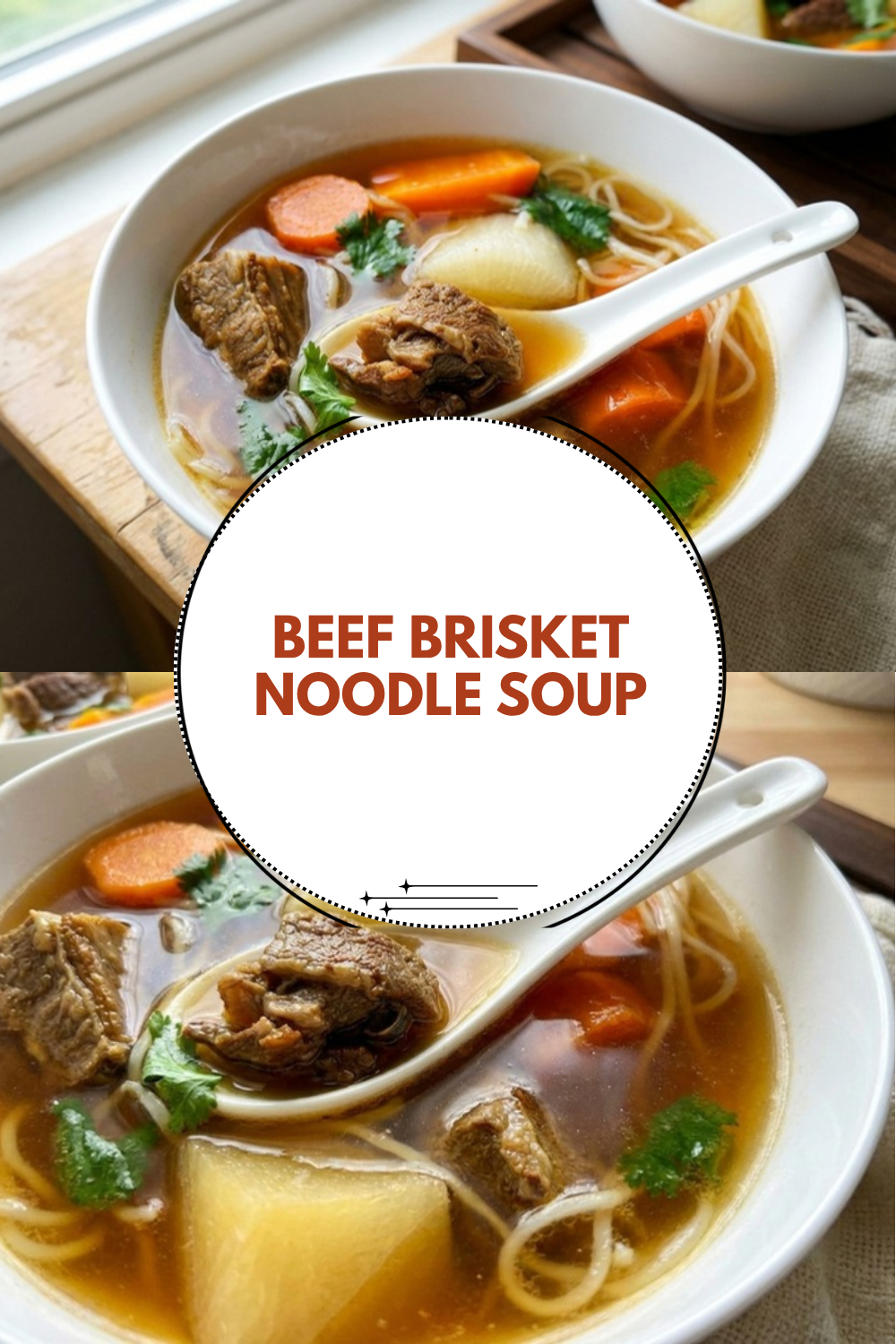 Beef Brisket Noodle Soup