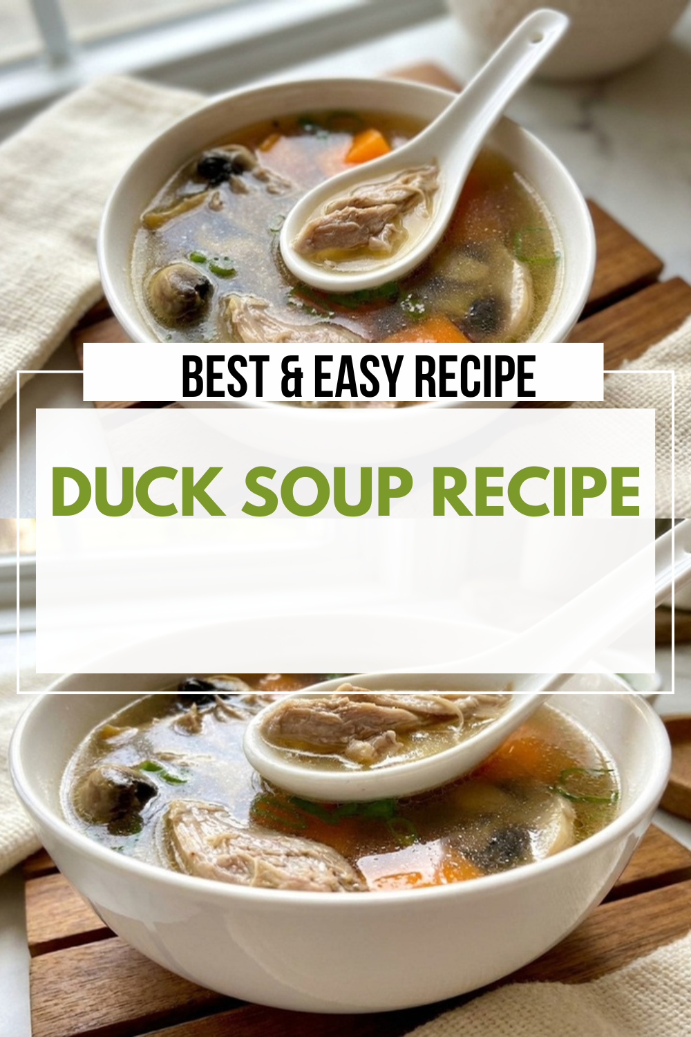 Best Duck Soup Recipe Easy Homemade 4 Duck Soup Recipe
