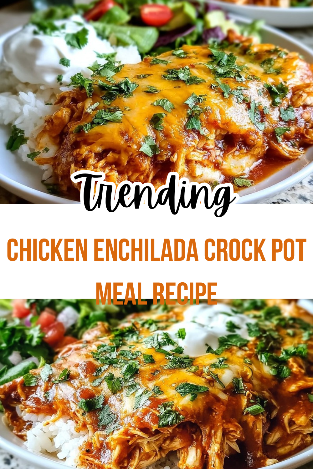 Chicken Enchilada Crock Pot Meal Recipe
